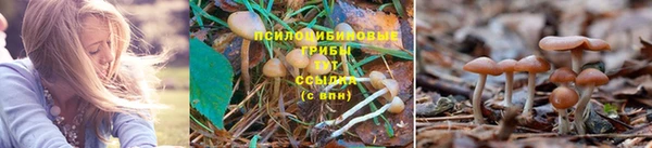 соль ск Армянск